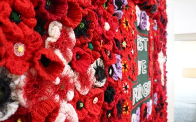Cairns Poppy On
