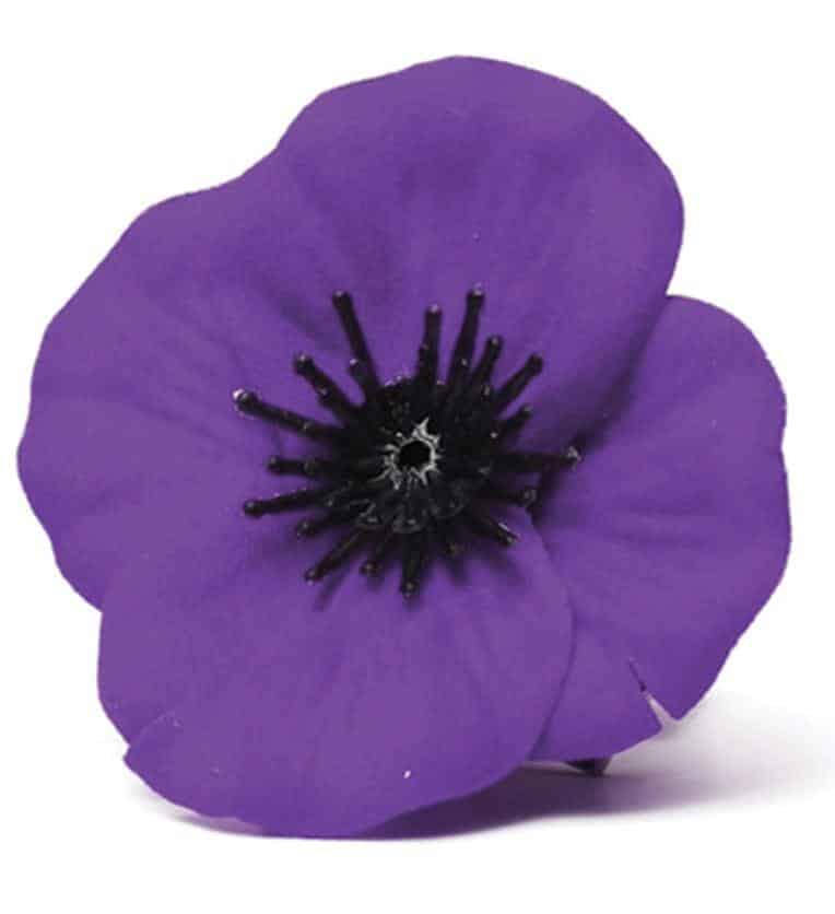 Remembering Animals in War Material Badge